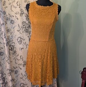 Charming Charlie Mustard Yellow Lace Mini Dress